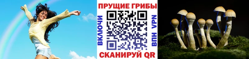 Псилоцибиновые грибы Psilocybe  наркошоп  Георгиевск 